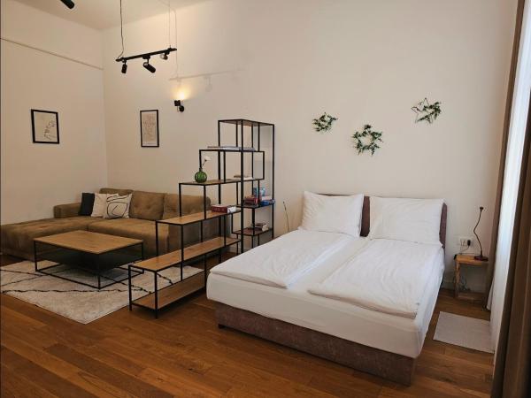 Eleven Apartment - Very Center - Free Parking - Osijek