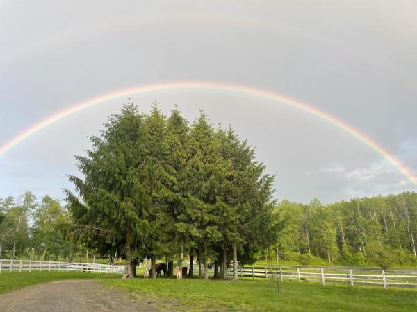 Punto Pino Farm Stay - Millbrook, NY