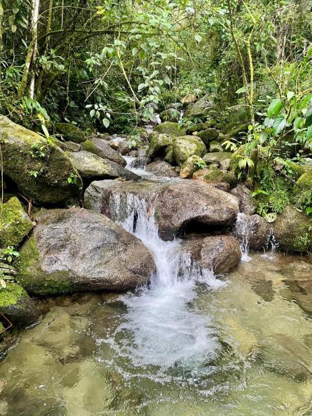 Soplo Del Tambo - Naturaleza Y Bienestar - Antioquia