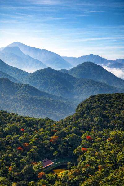 A la foto es mostra l'objecte Jungle Park Resort-Rain Forest Experience by GreenEscapes situat a la ciutat de Vythiri.