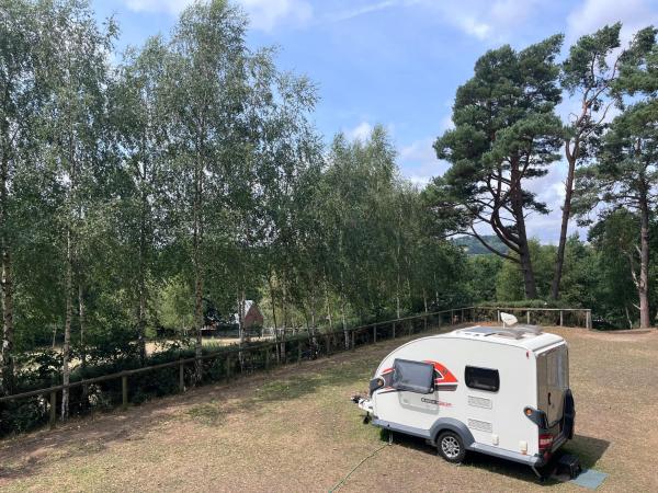Camping Pod - 윅