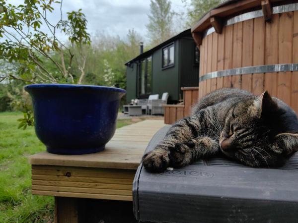 Bell Nook- Shepherd's Hut With A Spacious Wood-fired Hot Tub - Tonbridge
