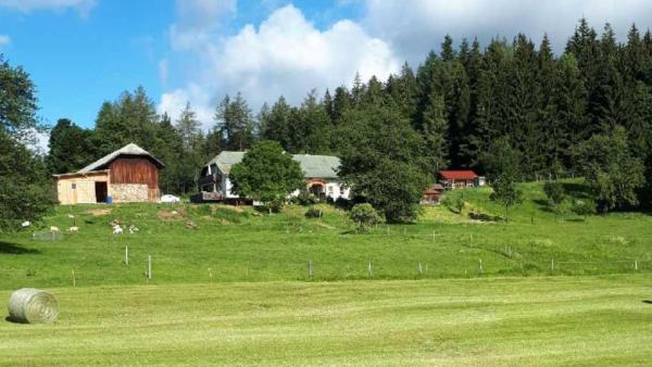 Landhof Steinhütte - Bayern