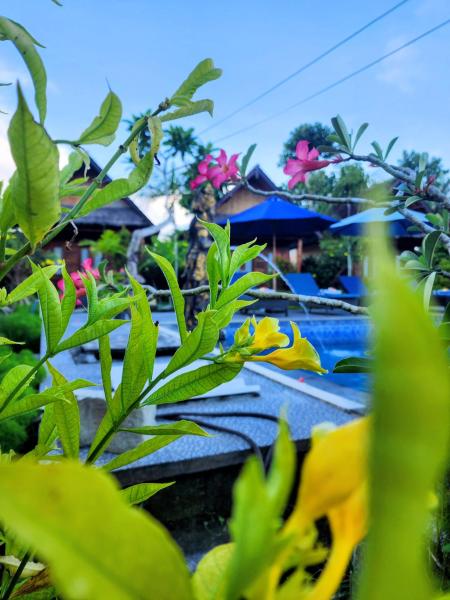 Rr Cottage - Bali