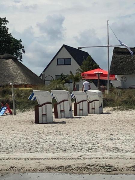 Ostseekrabbe Scharbeutz - Travemünde