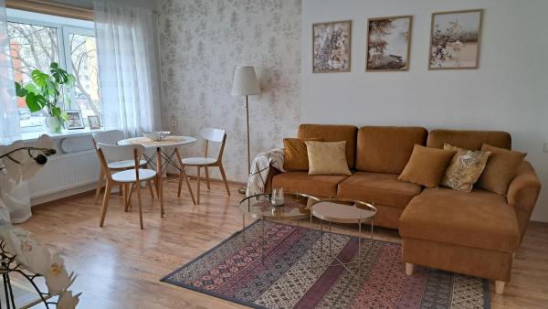 A la foto es mostra l'objecte Turu 15 Apartment situat a la ciutat de Tartu.