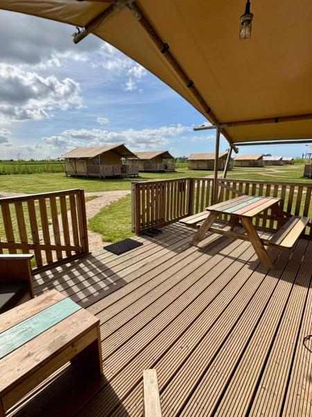 På billedet ses objektet Glamping De Zuidvliet Nr 17 beliggende i byen Wolphaartsdijk.