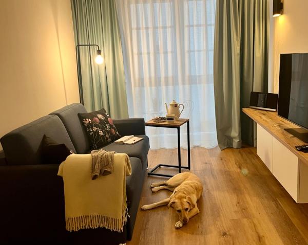 Das Schiefe Haus Wohnung St Peter - Gernsheim