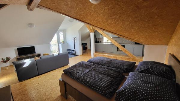 Apartmán U Kolejí D - 체코