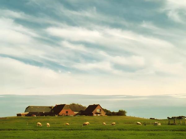 Fewo Nordseeblick - Langeneß