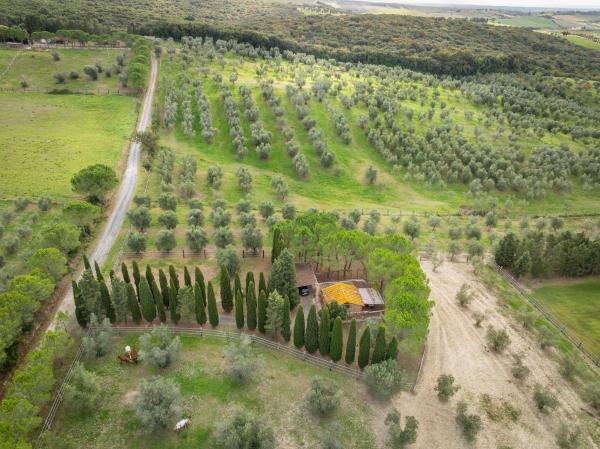 I Mandrioli - Bibbona