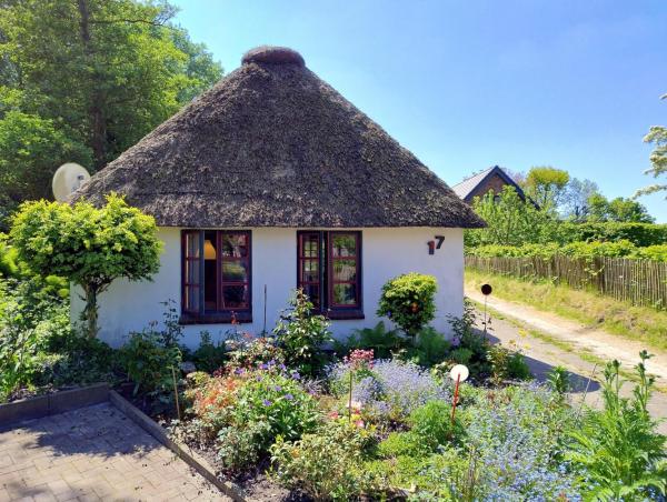Unser Froschhaus - Wesselburenerkoog
