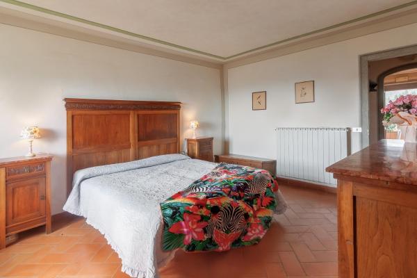 Fotografie 2: Universal Harmony - Pettirosso
