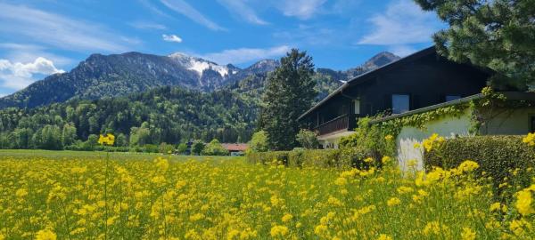 Ferienwohnung 3 - Grassau