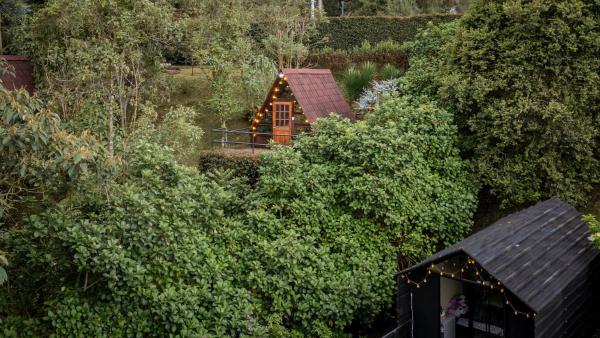 Chalets en Santa Elena en medio del Bosque, Medellín