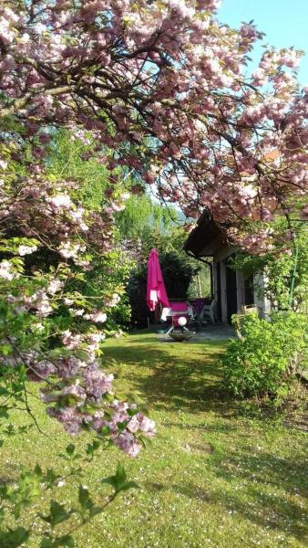 Appartement Entre Lacs Et Montagnes - Hirmentaz