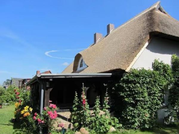 Koras Dachkammer - Ribnitz-Damgarten