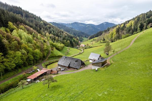 Ferienwohnung Metzgerbauernhof - Gutach (Schwarzwaldbahn)