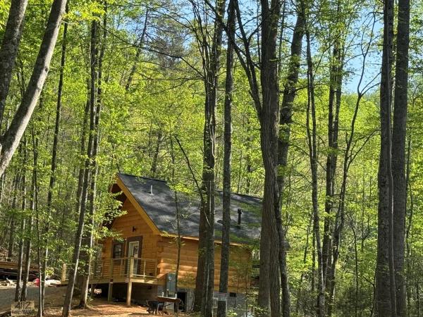 Just Opened! Luxury Cabin W Hot Tub - Gatlinburg, TN