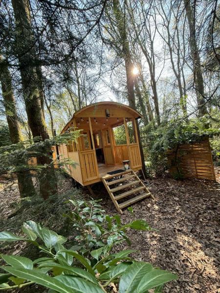 Pipowagen Aan Het Wandelpad - Belgique