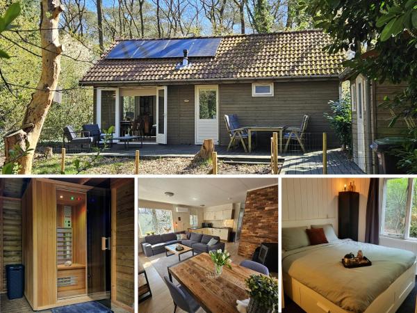 Knus Boshuis In De Natuur Met Sauna - Hardenberg