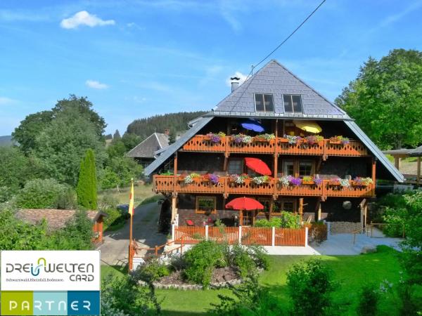 Haus Panoramablick Fewo 2 - Bernau im Schwarzwald