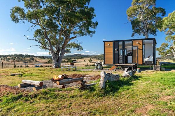 Clover At Lexington Park By Tiny Away - Goulburn