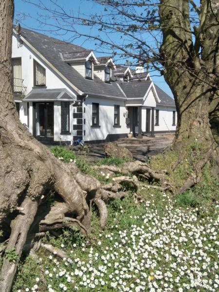 The Wandering Donkey Guest House - Tullow