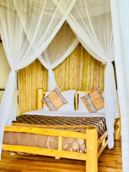 Bwindi Coffee Lodge - Uganda