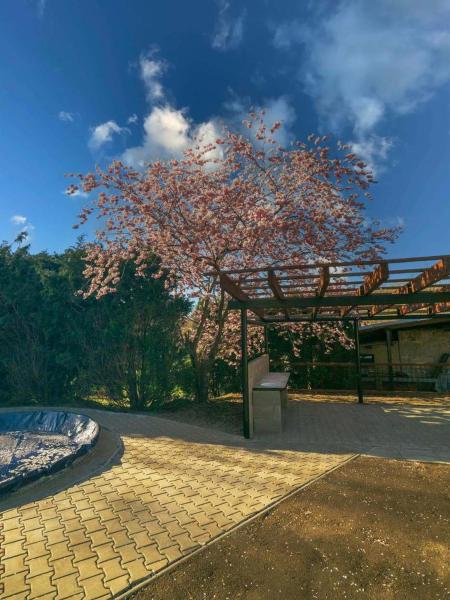 Apartmány Pod Hřebeny - Czech Republic
