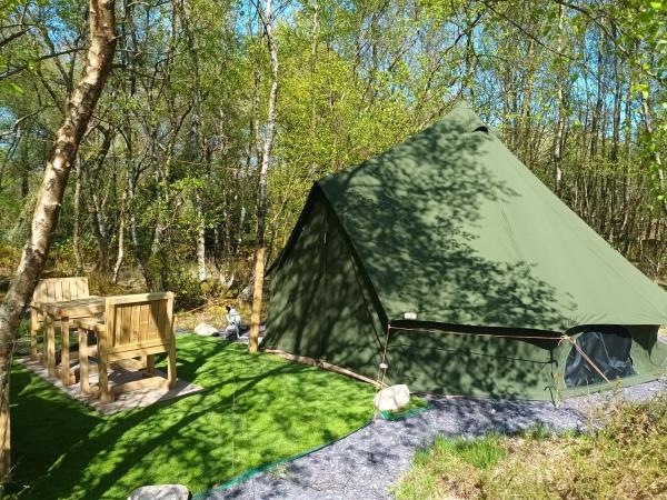 Green Woodland Bell Tent - Criccieth