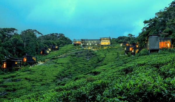 Στη φωτογραφία φαίνεται το αντικείμενο The Rainforest Ecolodge - Sinharaja with Shuttle Service from Car Park που βρίσκεται στην πόλη Deniyaya.