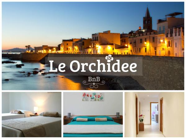 写真にはアルゲーロ市にあるB&B Le Orchideeが写っています。