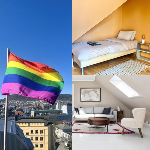 Rom I Privat Loftsleilighet Med Utsikt - Bergen