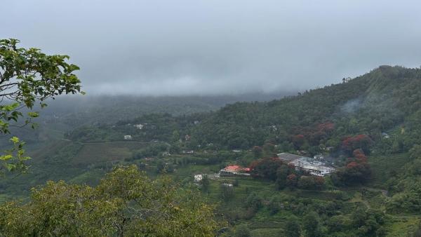 Misty Morning Homestay - Kuttikkanam