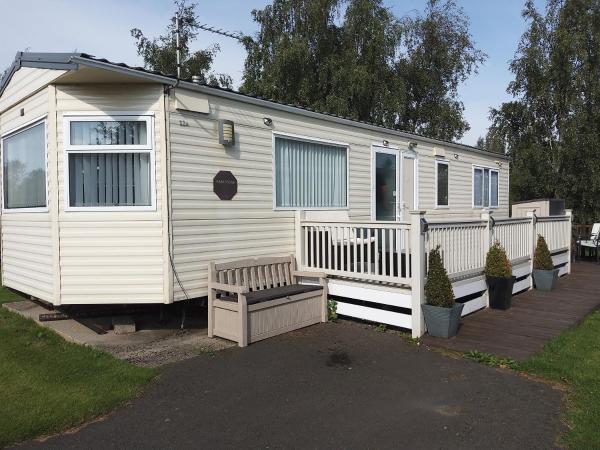 Silver Birch - Uk3341 - Morpeth