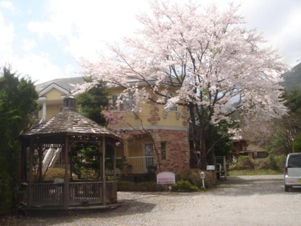 Nella foto è visibile l'oggetto Ikoi situato nella città di Nikko.