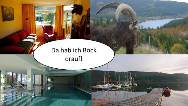 Seenest Am Schluchsee - Schluchsee