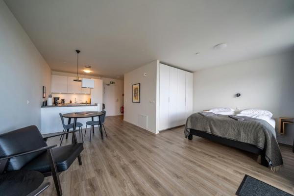 Apartamento com 1 Quarto — 50 m² - Hafnir