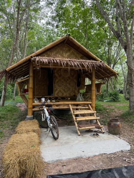 Cat Hut Farmstay - Thailand