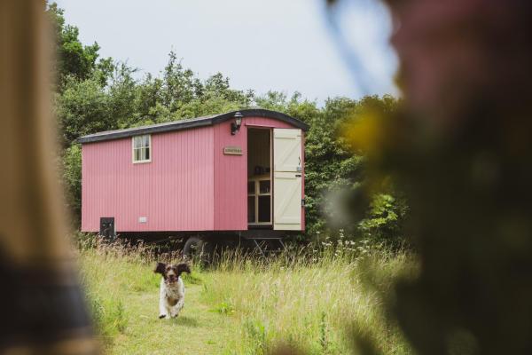 Bunkers Hill Farm - Framlingham