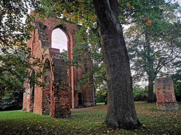 Blaumuschel Sprotte 15 - Lubmin