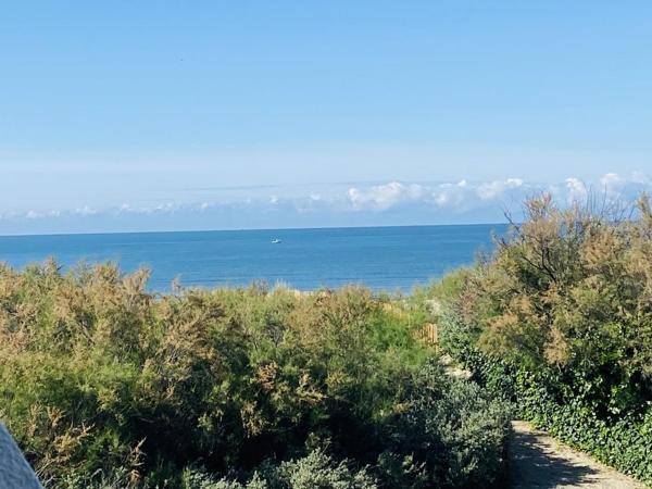 Studio Cabine Avec Clim, Face Mer - 3 Pers. - Fr-1-874-90 - La Grande-Motte