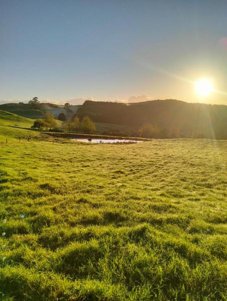 Mt Valleywood Farm - Northland