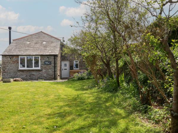 Puffin Cottage - Tintagel