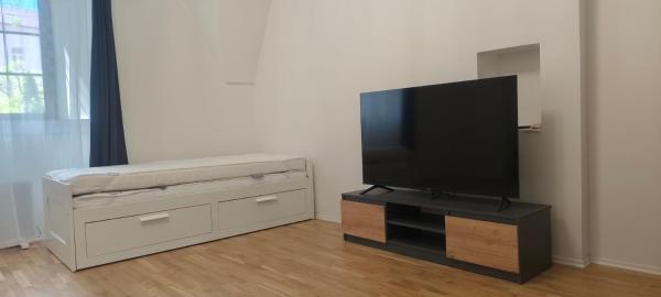 Vs5-8 Old Town Apartment - Vilnius