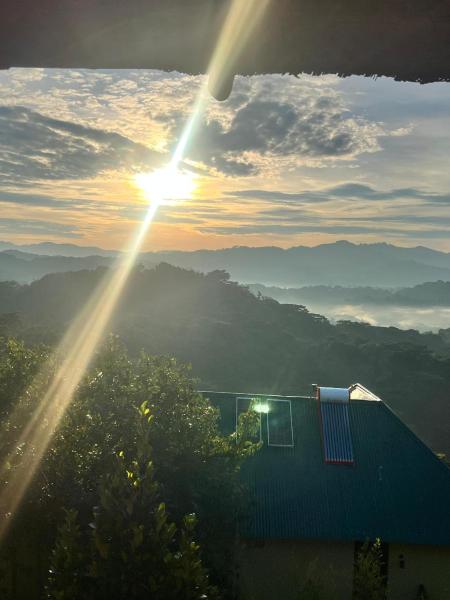 Bwindi Neckview Lodge - Uganda