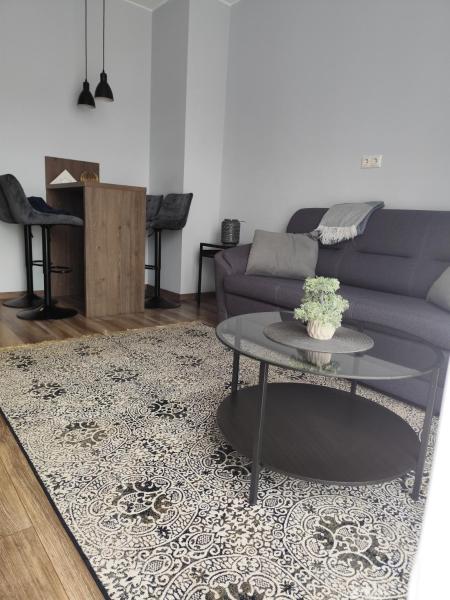 A la foto es mostra l'objecte Cozy Apartment in Old Riga & Free Underground Parking situat a la ciutat de Riga.
