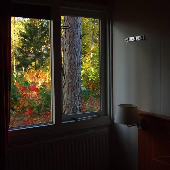 照片显示了位于Tayakadın市的forest villa, 6 minutes from the airport物件。