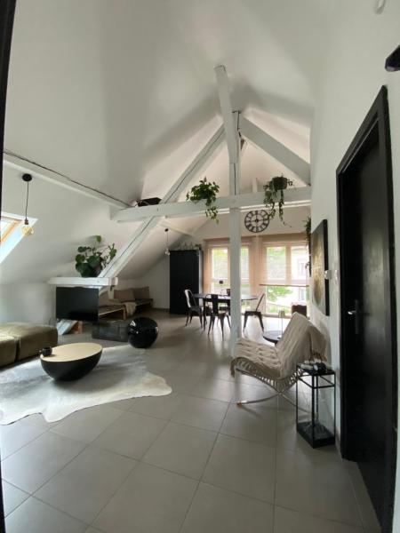 Appartement Atypique Lumineux - Elsenheim